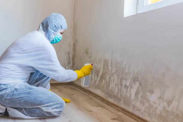Licensed Mold Remediation service in Nashville, TN - WQB Mold Removal