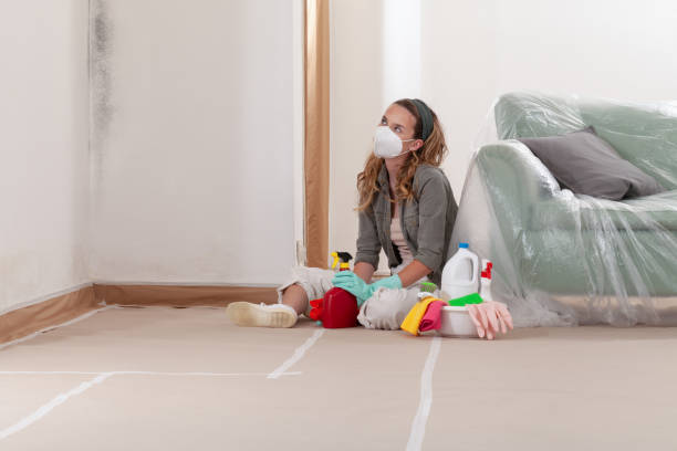 Reliable Mold Remediation contractor in Nashville, TN by WQB Mold Removal